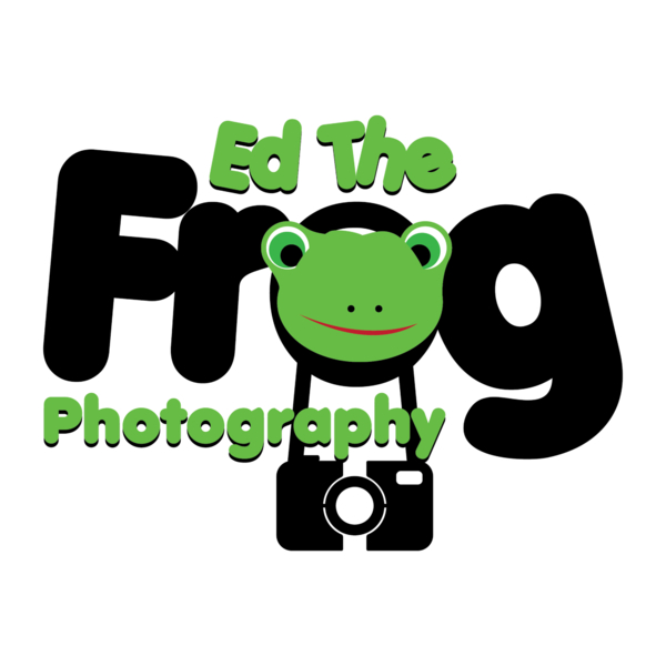 Ed The Frog Photography